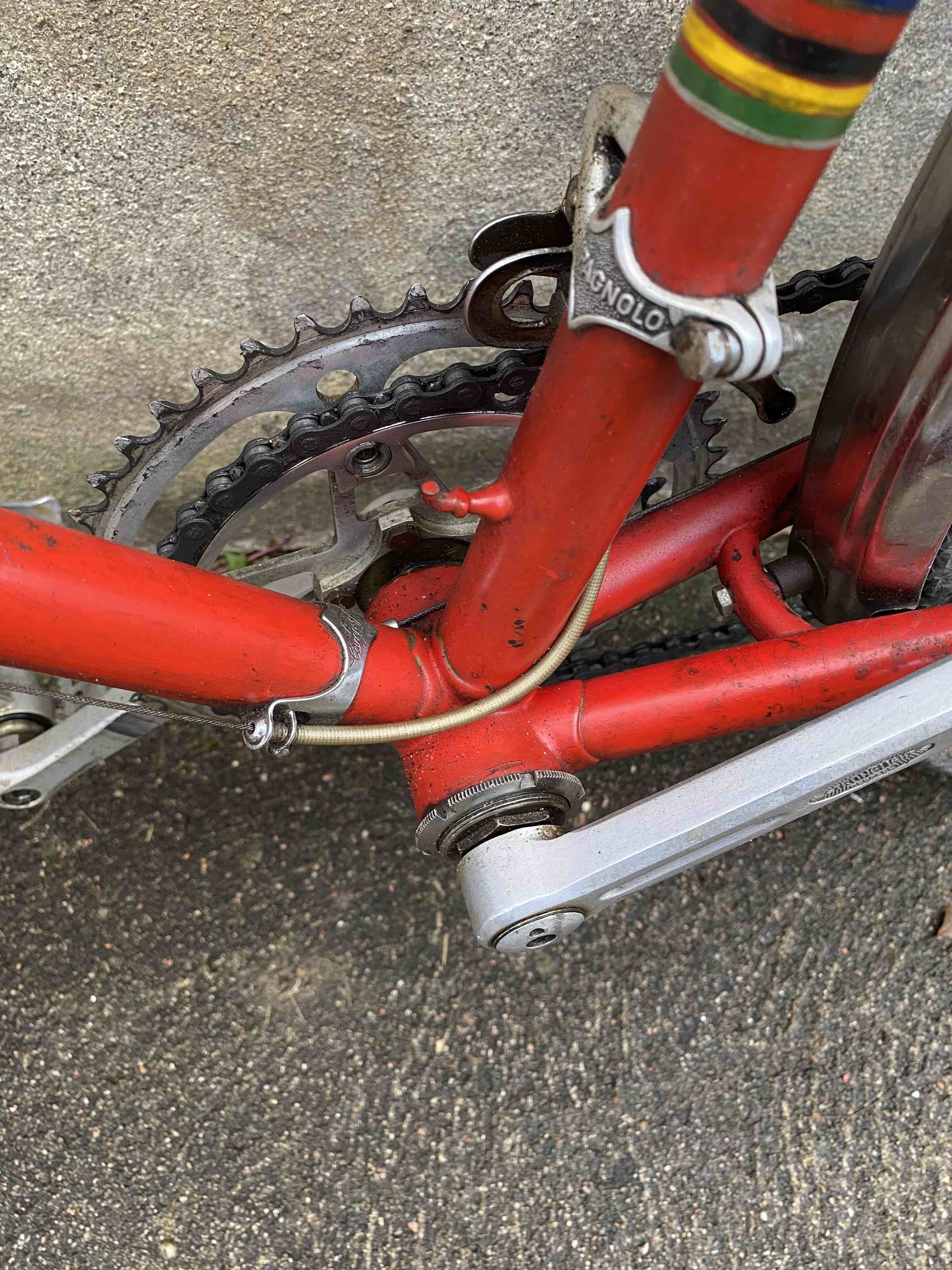 Velo sauvage lejeune online