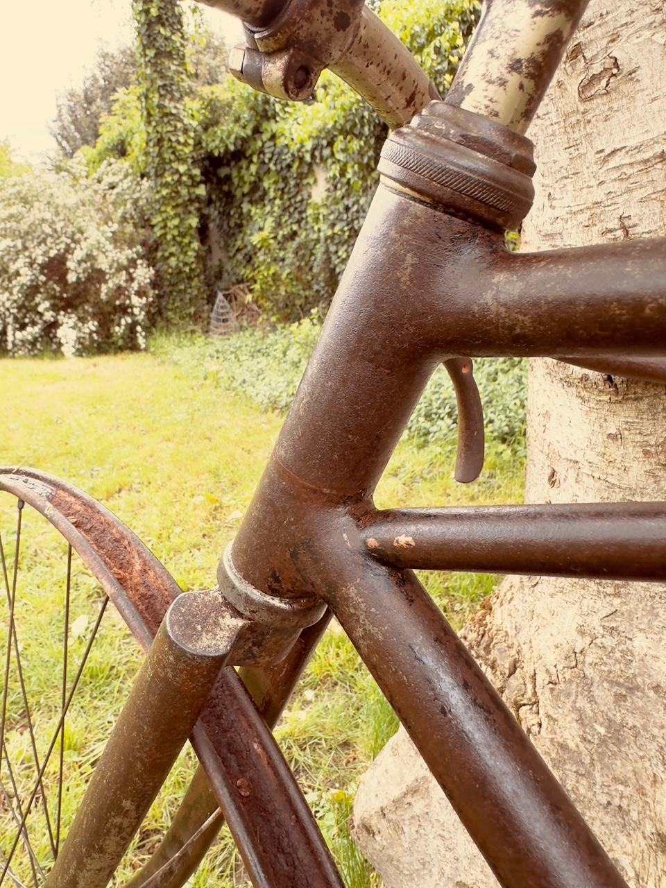 velo course cadre pont 1910 6