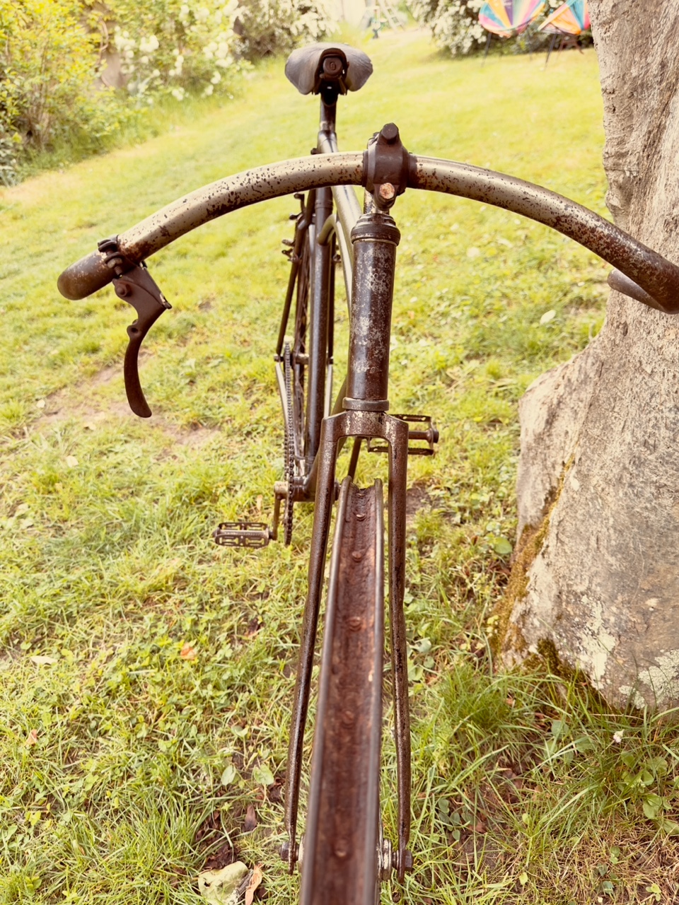 velo course cadre pont 1910 17