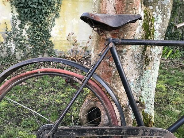 HIRONDELLE RETRODIRECTE VELOCYCLO 9