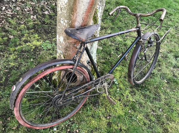 HIRONDELLE RETRODIRECTE VELOCYCLO 12