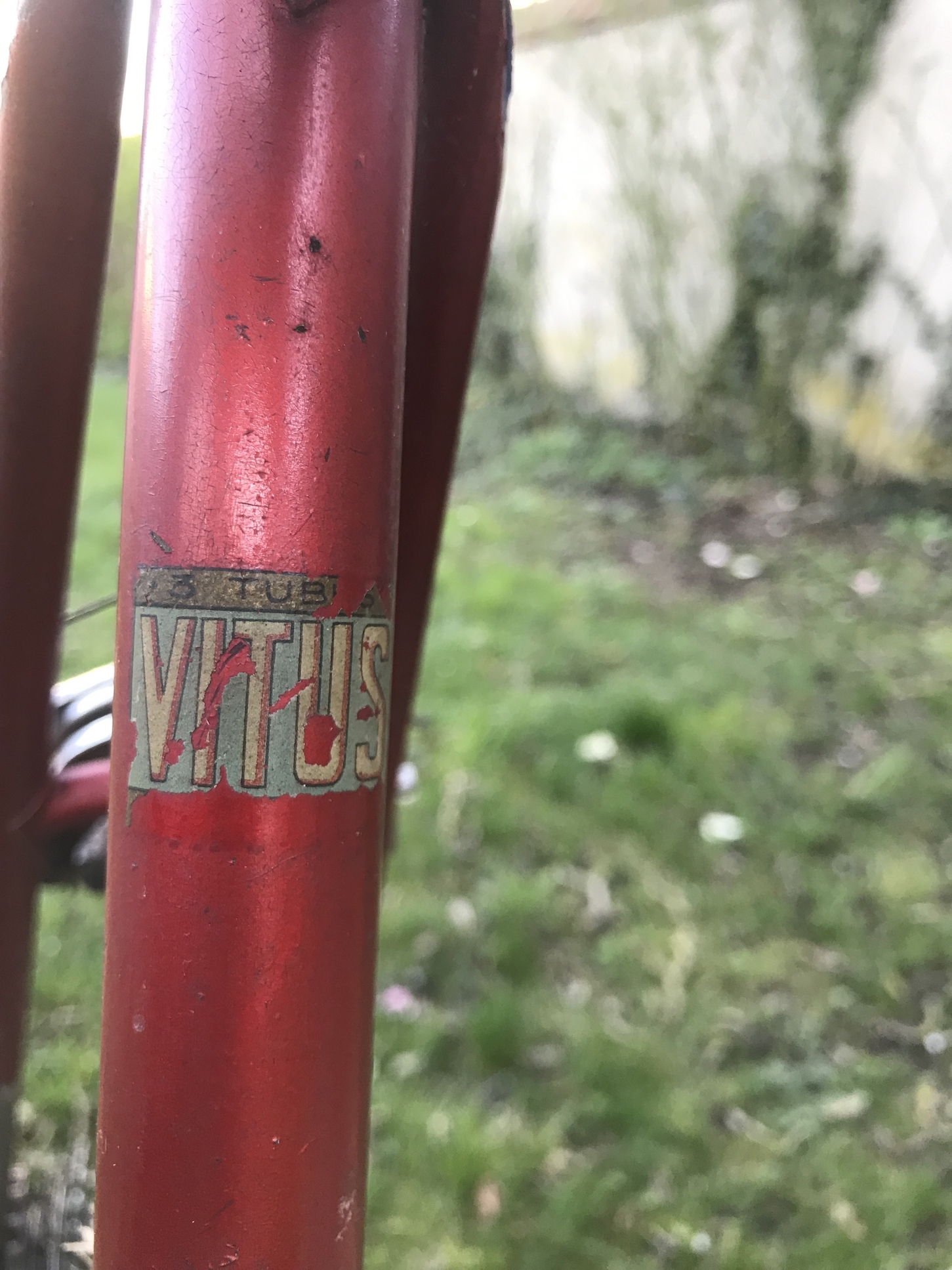 VELO COURSE LIBERIA 1960 velocyclo 18