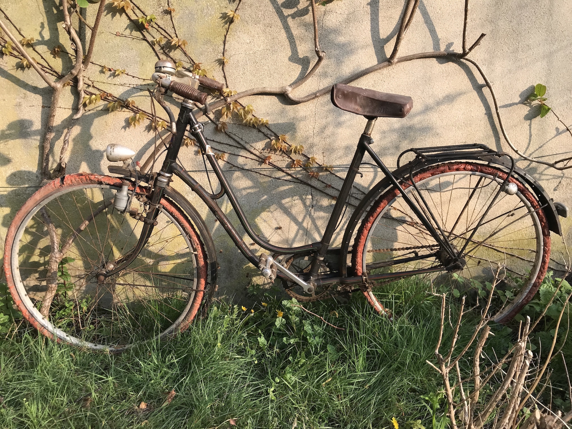 VELO FEMME DESCHARIERES 30 VELOCYCLO 1