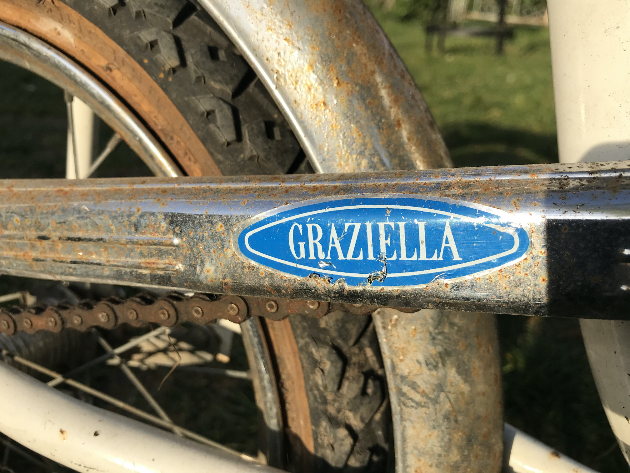 MD VELO GRAZIELLA CARNIELLI 157670 VELOCYCLO 30