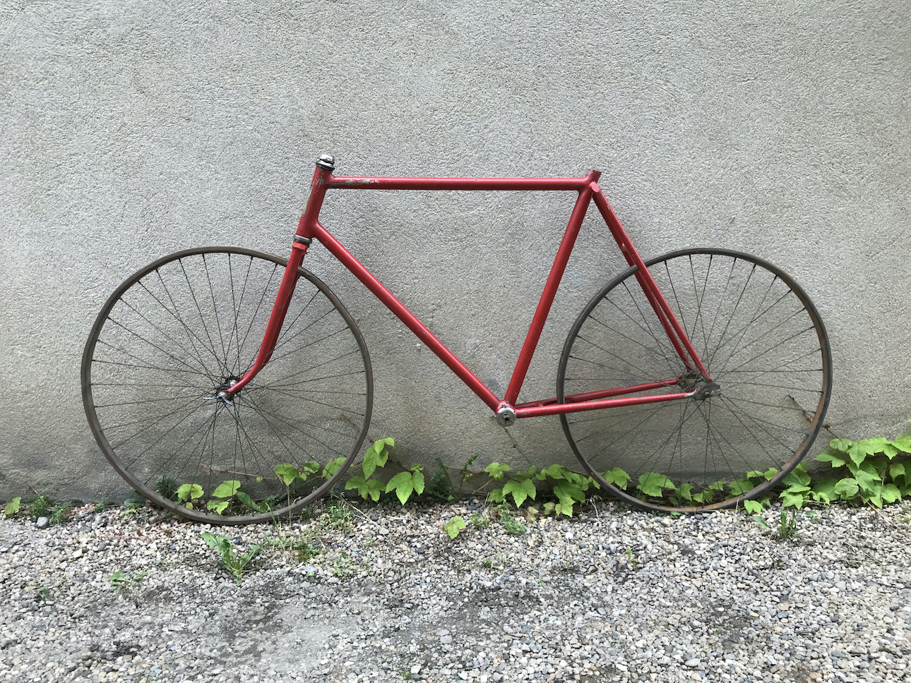 PISTE BOUROTTE VELOCYCLO 32