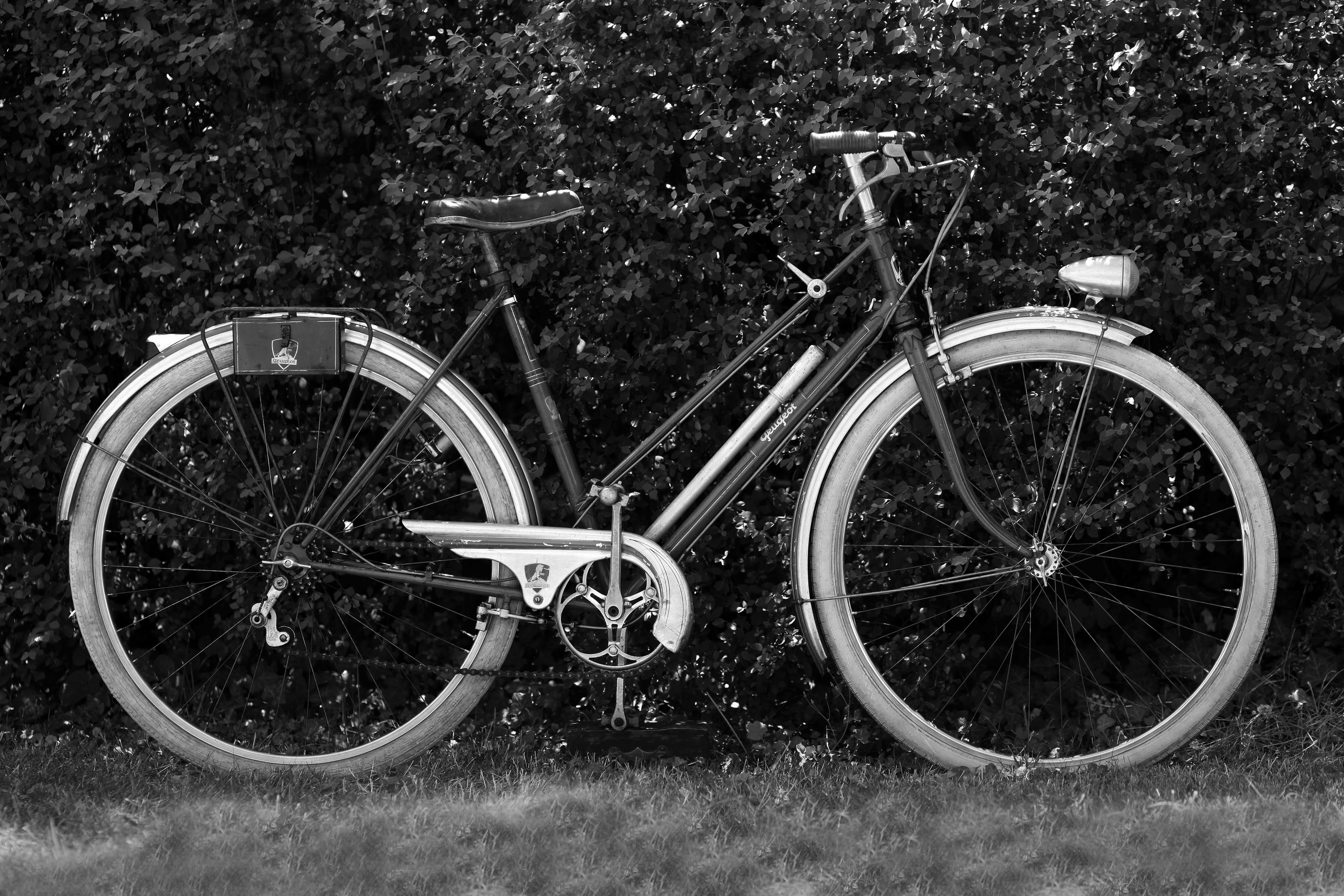 VELO DAME PEUGEOT PRC45 1949 31