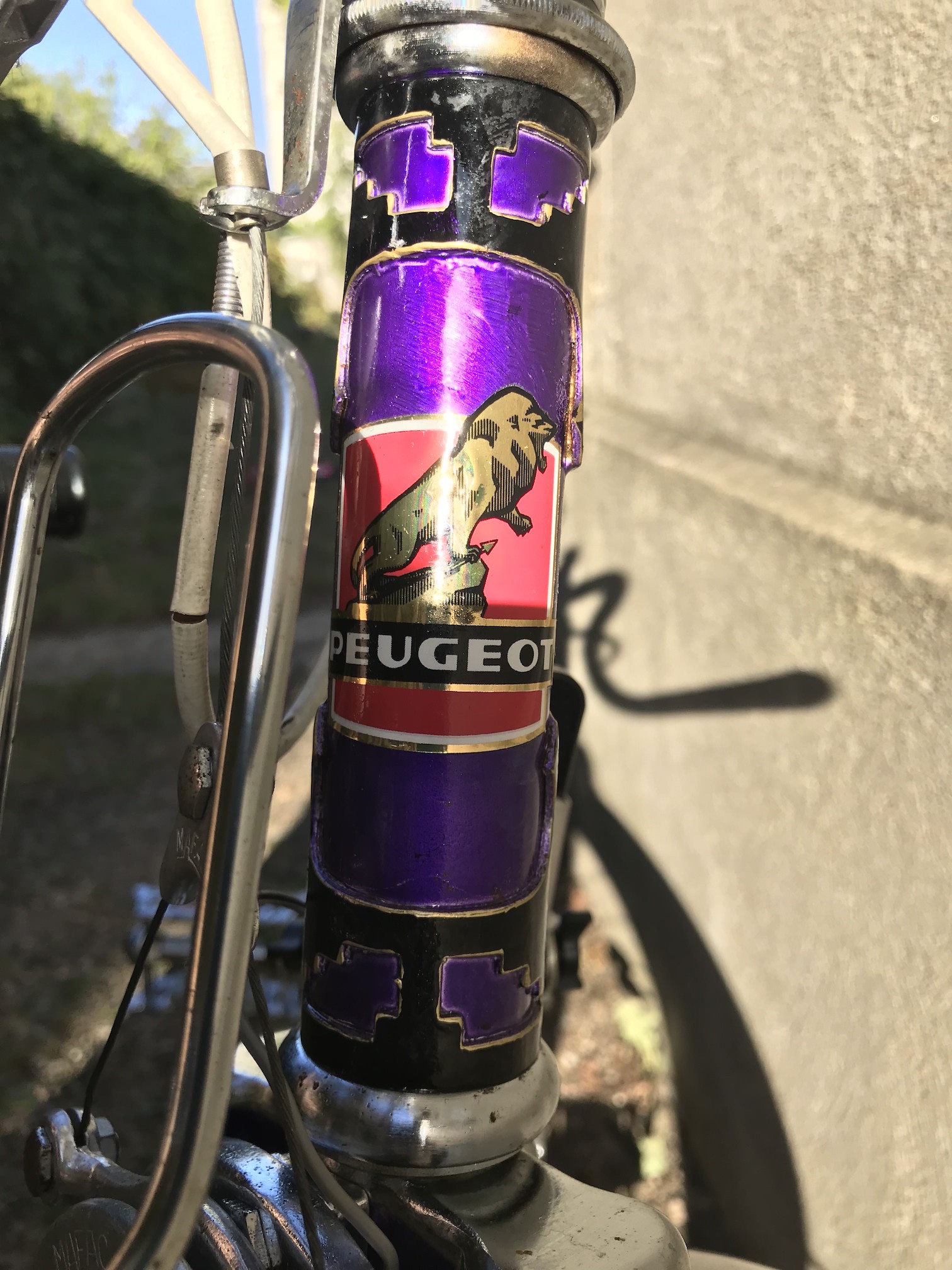 PEUGEOT PX50L 1975 VIOLET VELOCYCLO 8