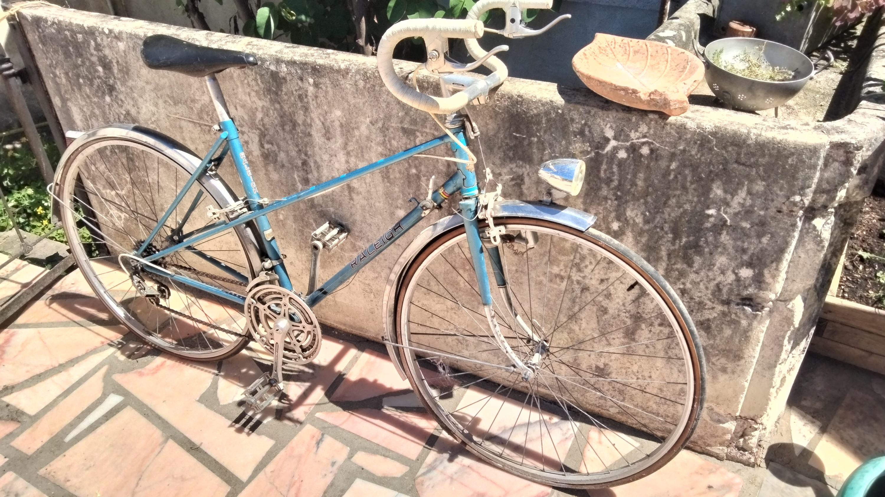 raleigh 1